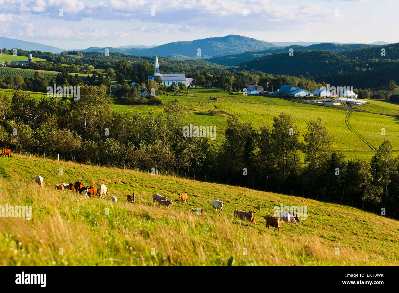 Saint venant de paquette hires stock photography and images Alamy
