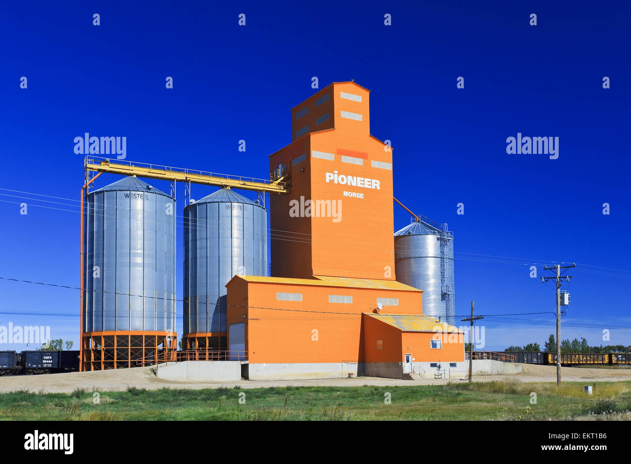Orange Grain Elevator And Train Being Loaded On The Canadian Prairie. Morse, Saskatchewan, Canada. Stock Photo
