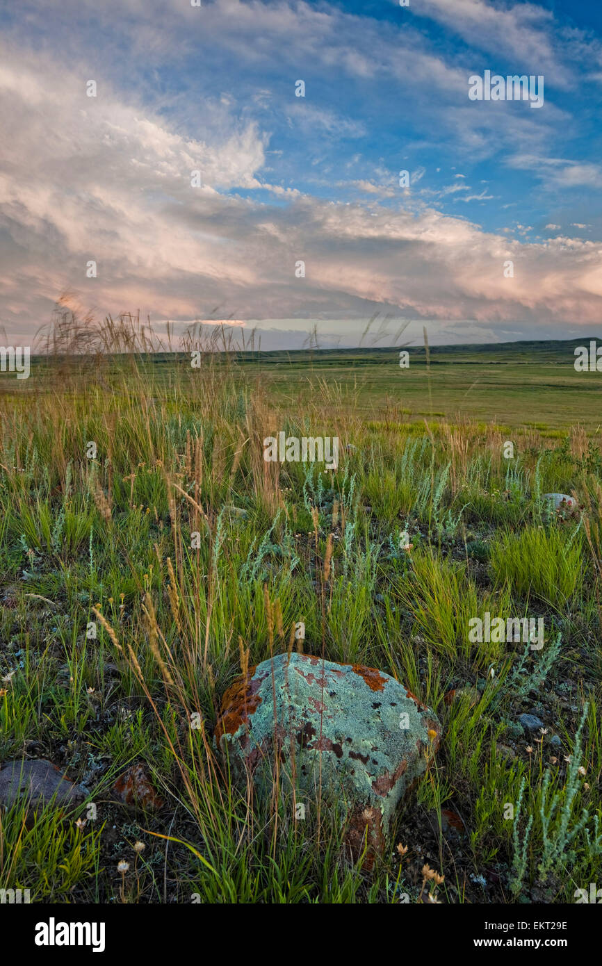 Sunset over the prairies in Grasslands National Park; Saskatchewan
