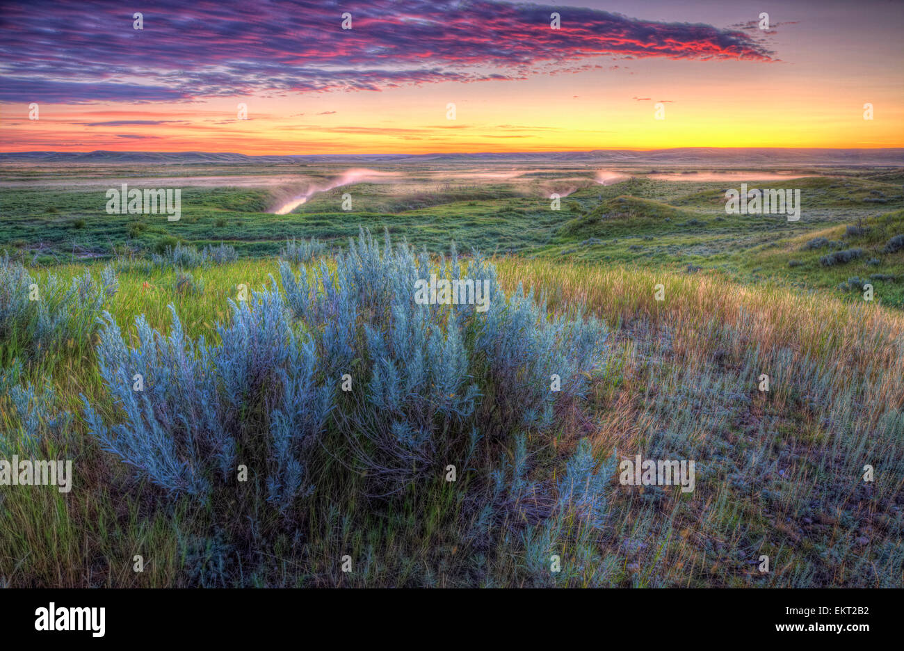 Sunrise over the Frenchman River Valley in Grasslands National Park; Saskatchewan, Canada Stock Photo