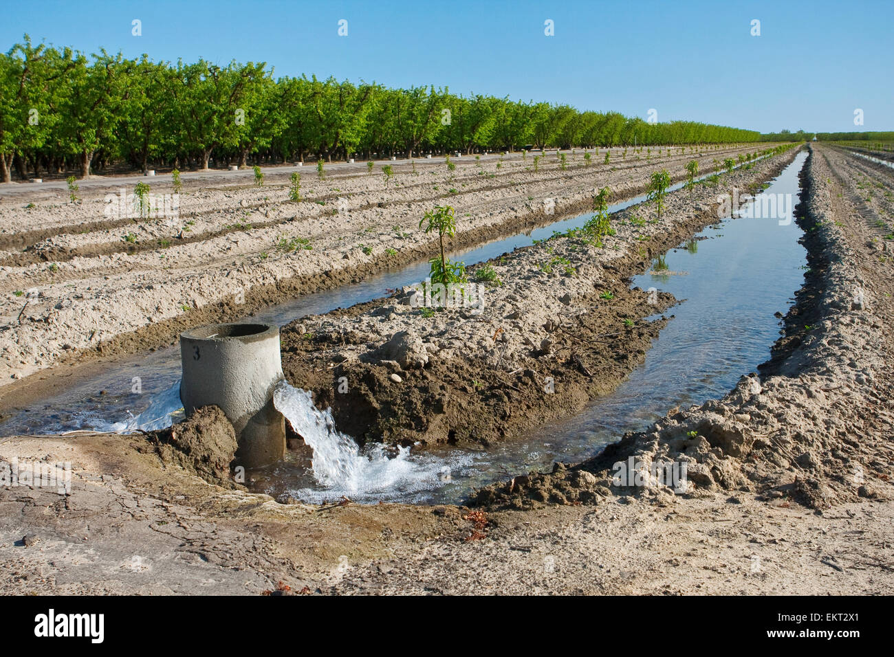 Irrigation standpipe hires stock photography and images Alamy
