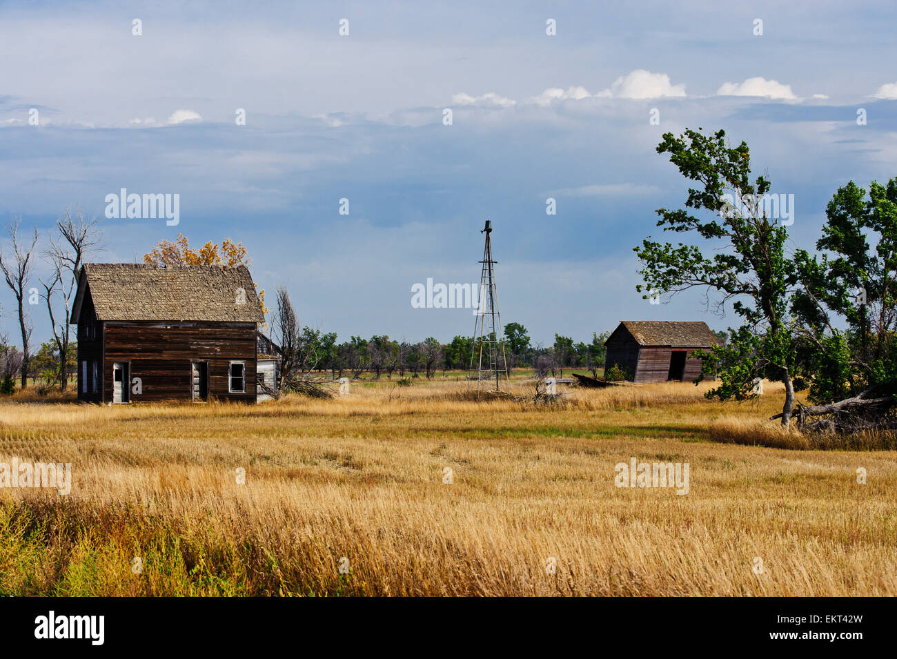 Abandoned ranch near Hettinger; North Dakota, United States of America Stock Photo