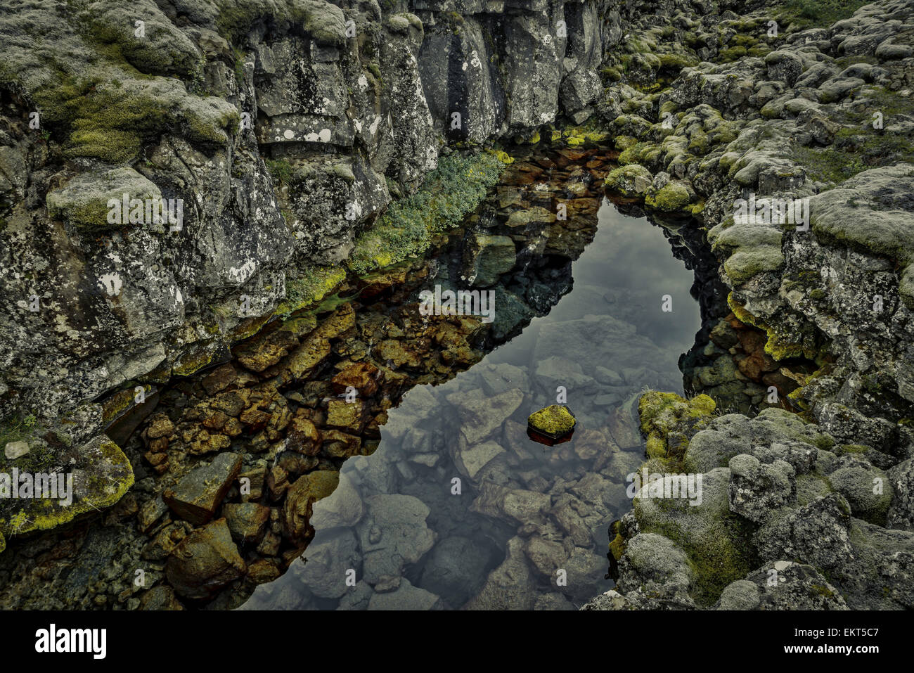 Lava and water at Flosagja Fissure, a deep fissure at Thingvellir National Park, Iceland. Stock Photo