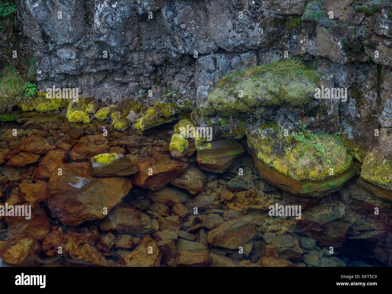 Lava and water at Flosagja Fissure, a deep fissure at Thingvellir National Park, Iceland. Stock Photo