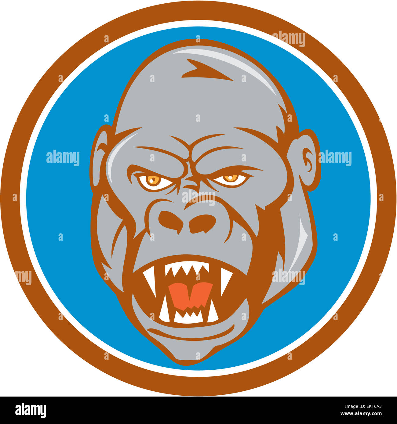 Illustration of an angry gorilla ape head set inside circle on isolated ...