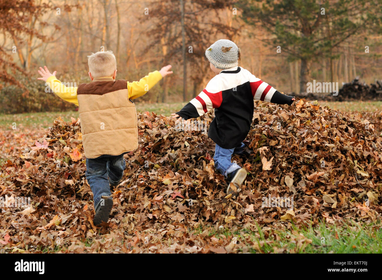 Two boys jump in Fall leaf pile Stock Photo