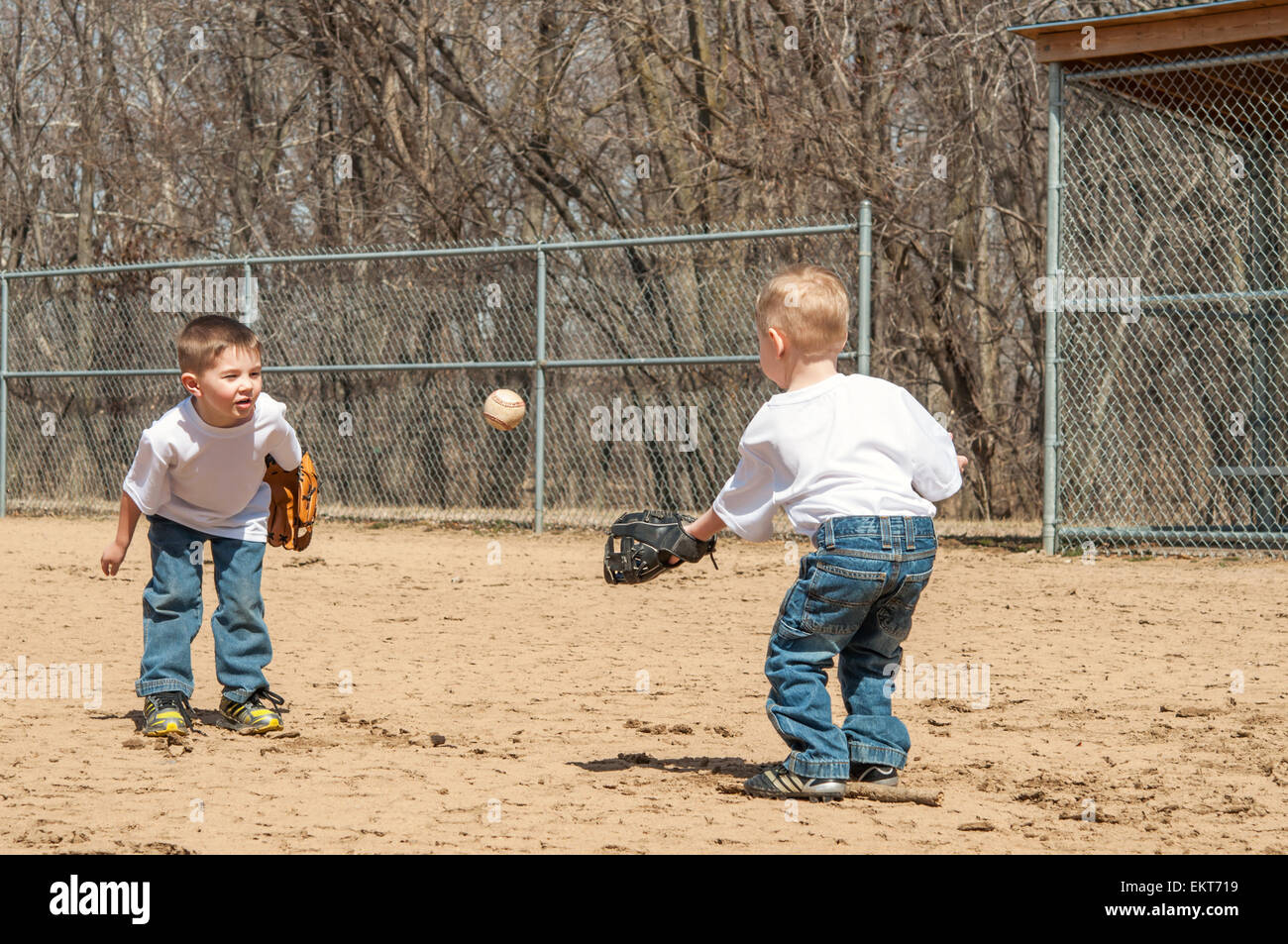 Playing Catch - Grade 2 Children's Story