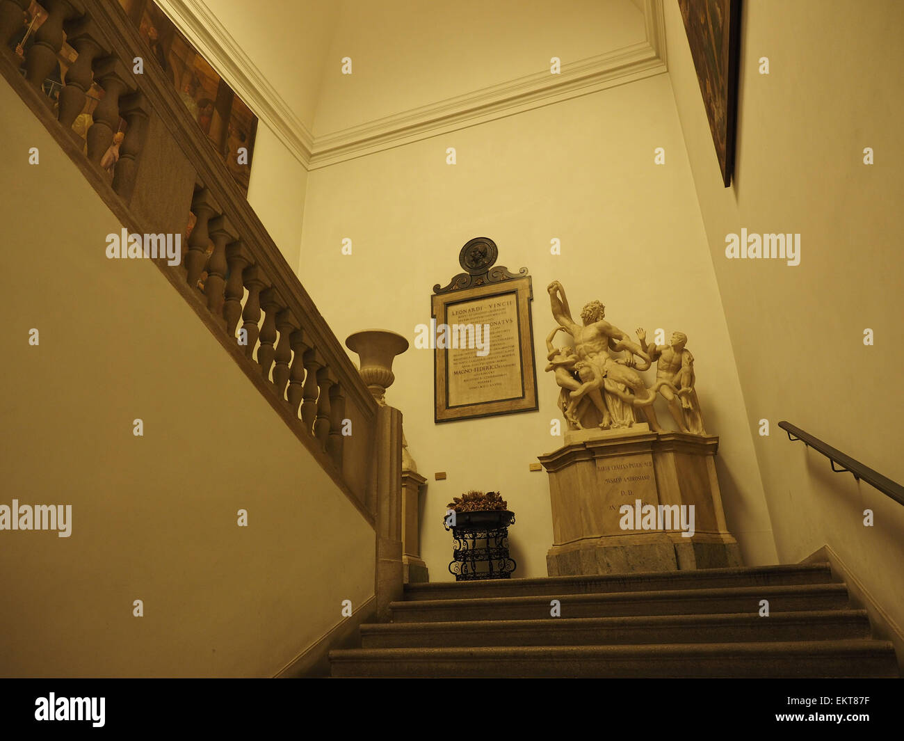 PInacoteca Ambrosiana picture gallery, Piazza PIo XI square, Milano, Lombardy, Italy, Europe