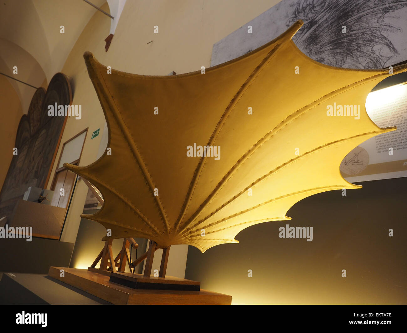 Wings, Leonardo da Vinci, National Science and Technology Museum
