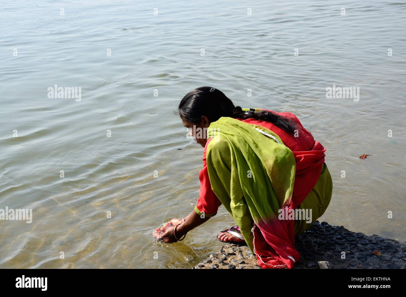 Indian Hindu woman worshiping  at the Narbada Shiva River Festival  holding river water in cupped hands Madhya Pradesh India Stock Photo