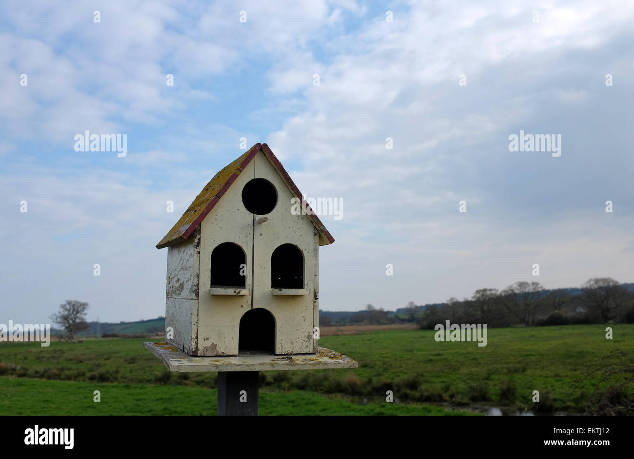 Bird house against a blue cloudy sky in the countryside Dawlish Warren Devon Stock Photo