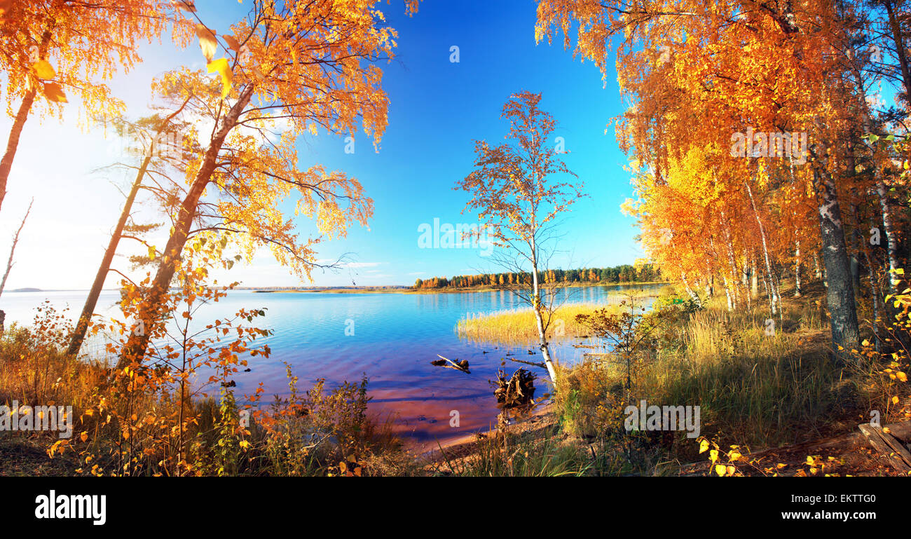 Autumnal Park. Autumn Trees and lake Stock Photo - Alamy