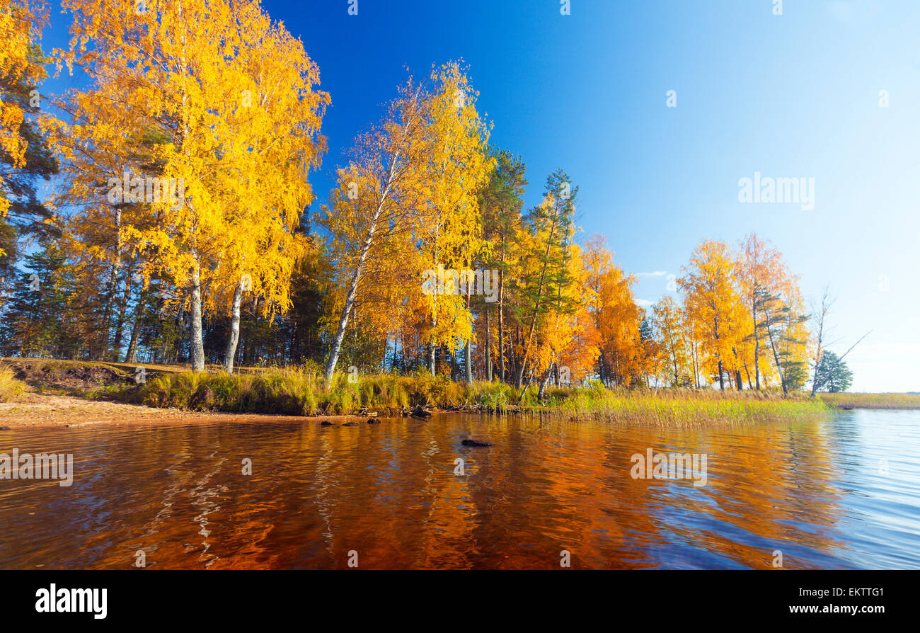 Autumnal Park. Autumn Trees and lake Stock Photo