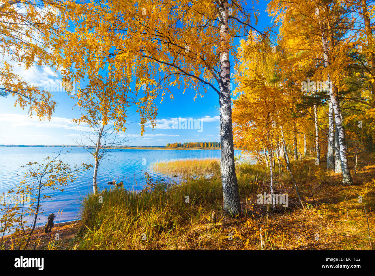 Autumnal Park. Autumn Trees and lake Stock Photo - Alamy