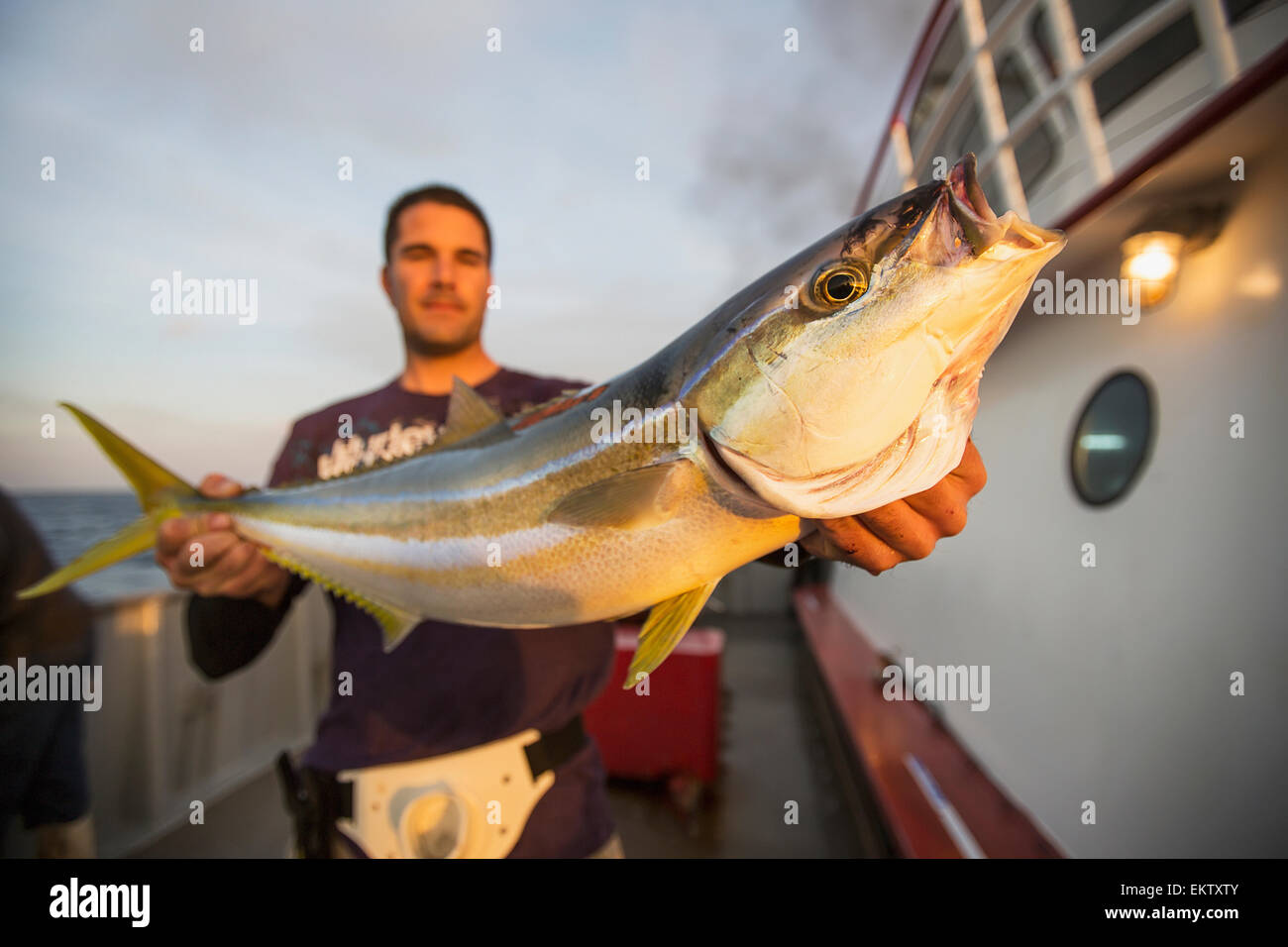 Man holding blue runner fish;Corpus christi texas usa Stock Photo