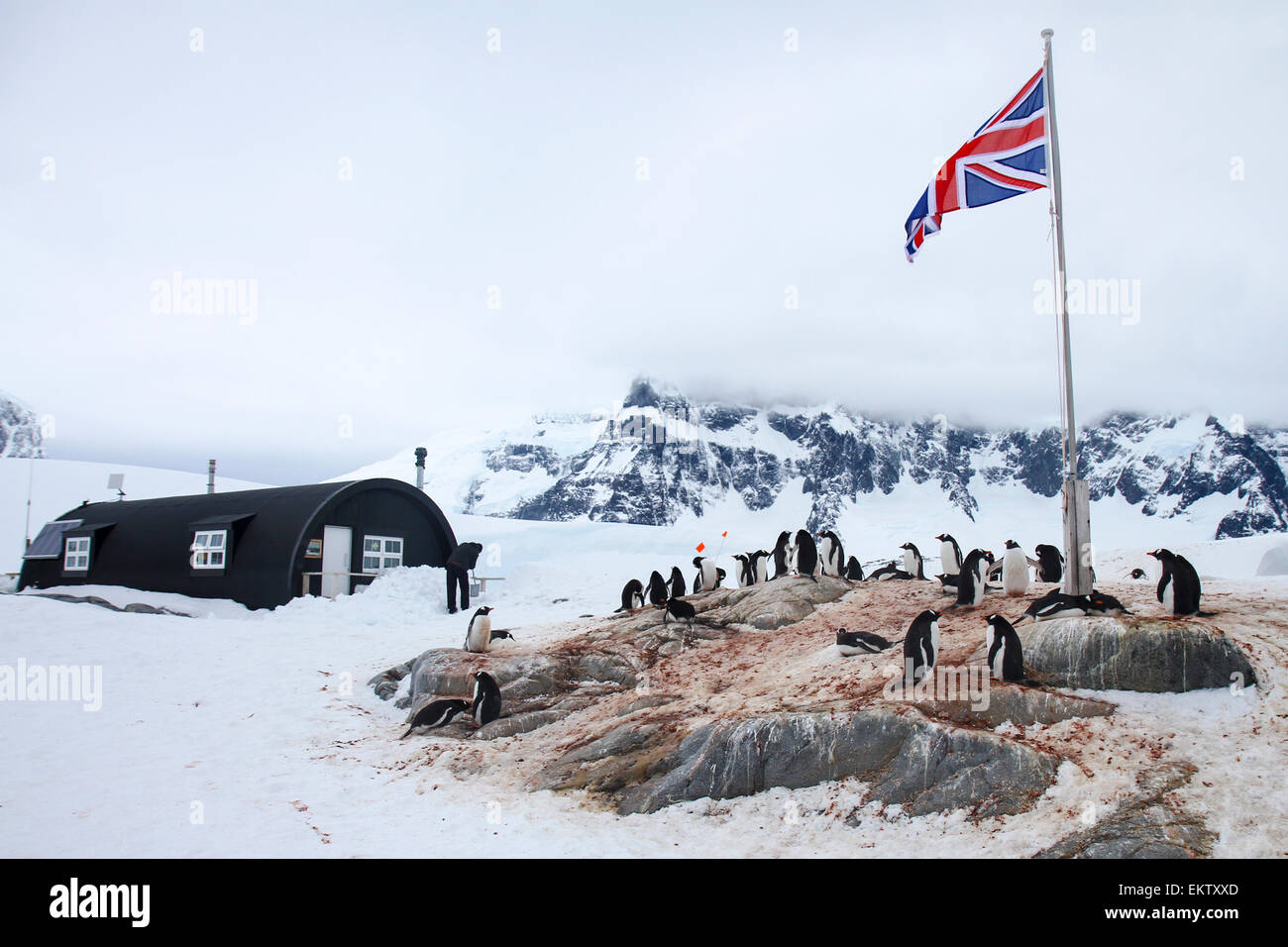 Port Lockroy, Antarctic Treaty Historic Site No. 61, British Base A. The base was used for research until 1962, including the fi Stock Photo