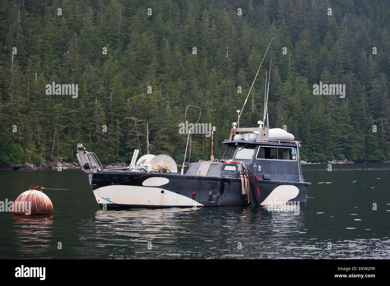 Commercial fishing boat 'Wanda Sue' painted like an Orca whale, Prince William Sound, Southcentral Alaska Stock Photo