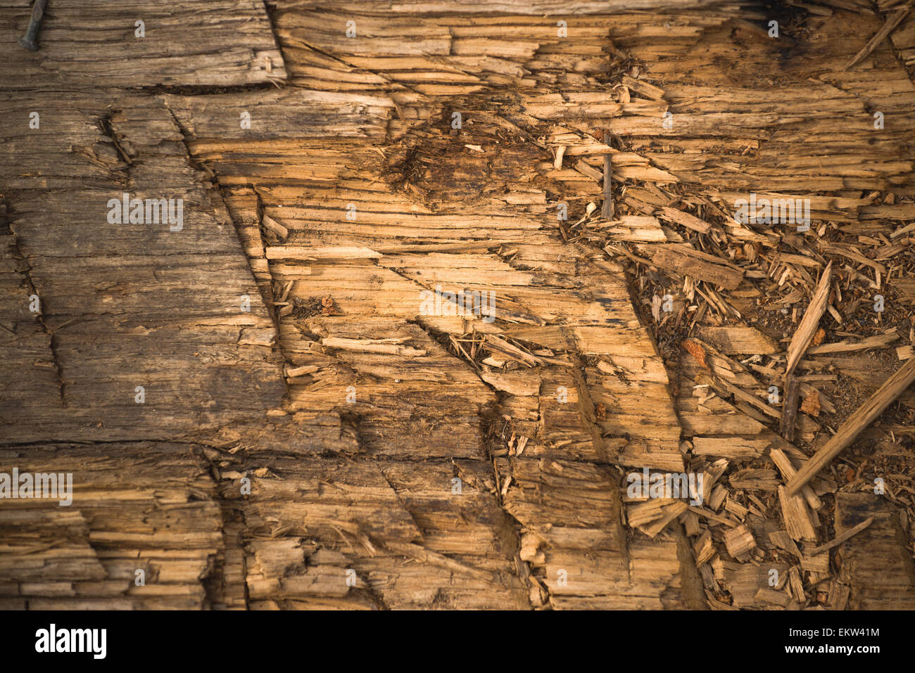 Chopped Wooden Plank Texture as Natural Background Stock Photo