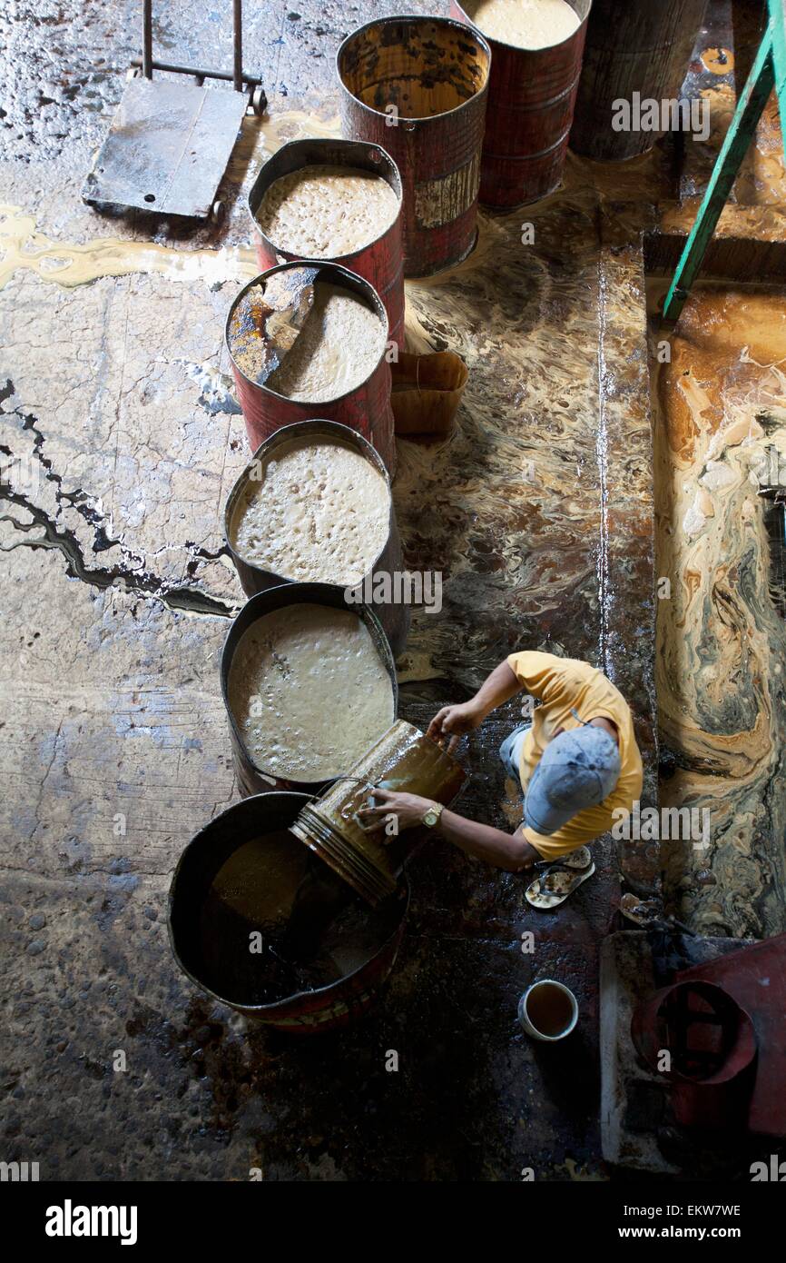 Sugar,Cane,Raw,Barrels,Molasses,Byproduct Stock Photo Alamy