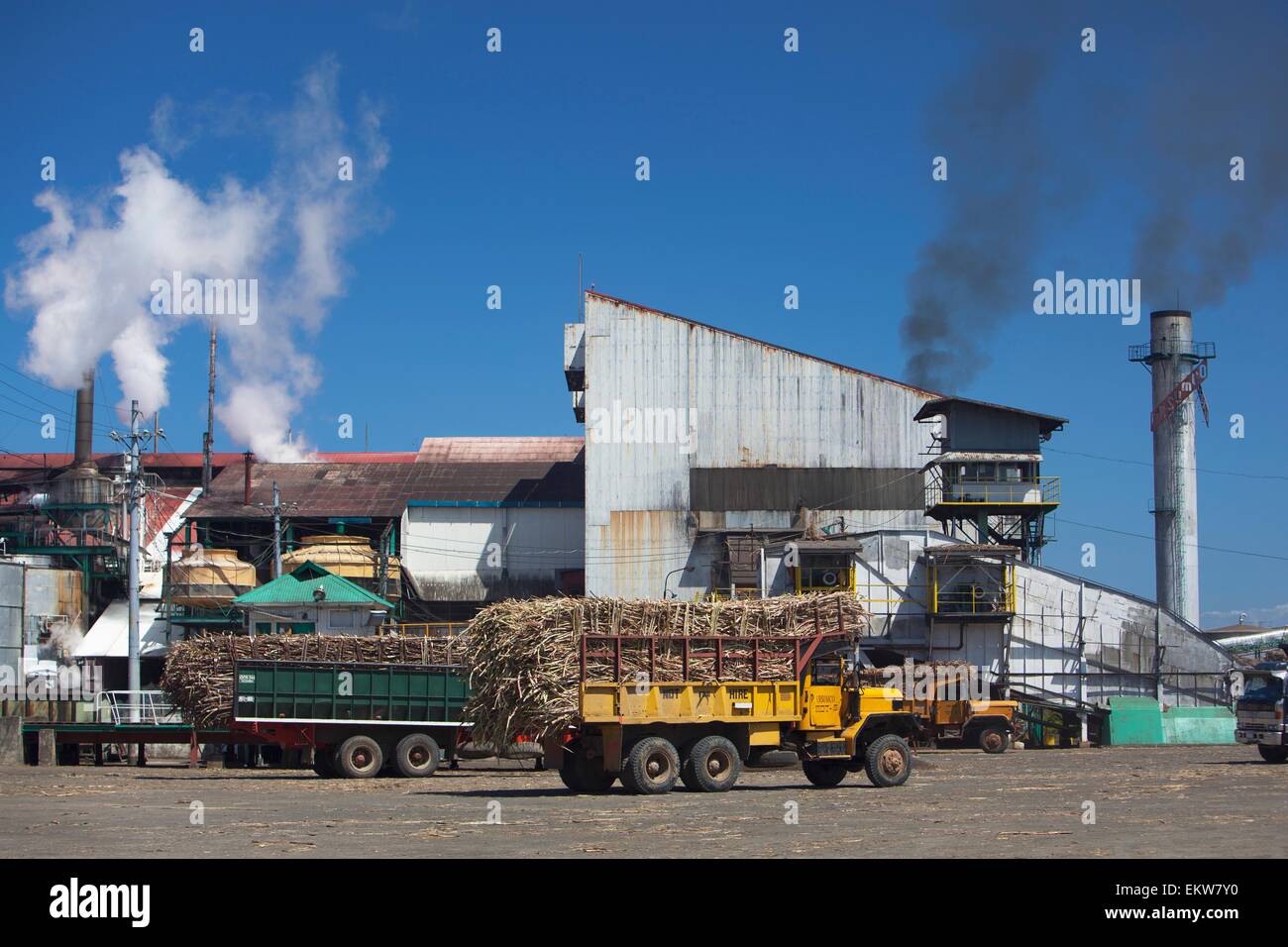 Negros Philippines Sugar Cane High Resolution Stock Photography and Images Alamy