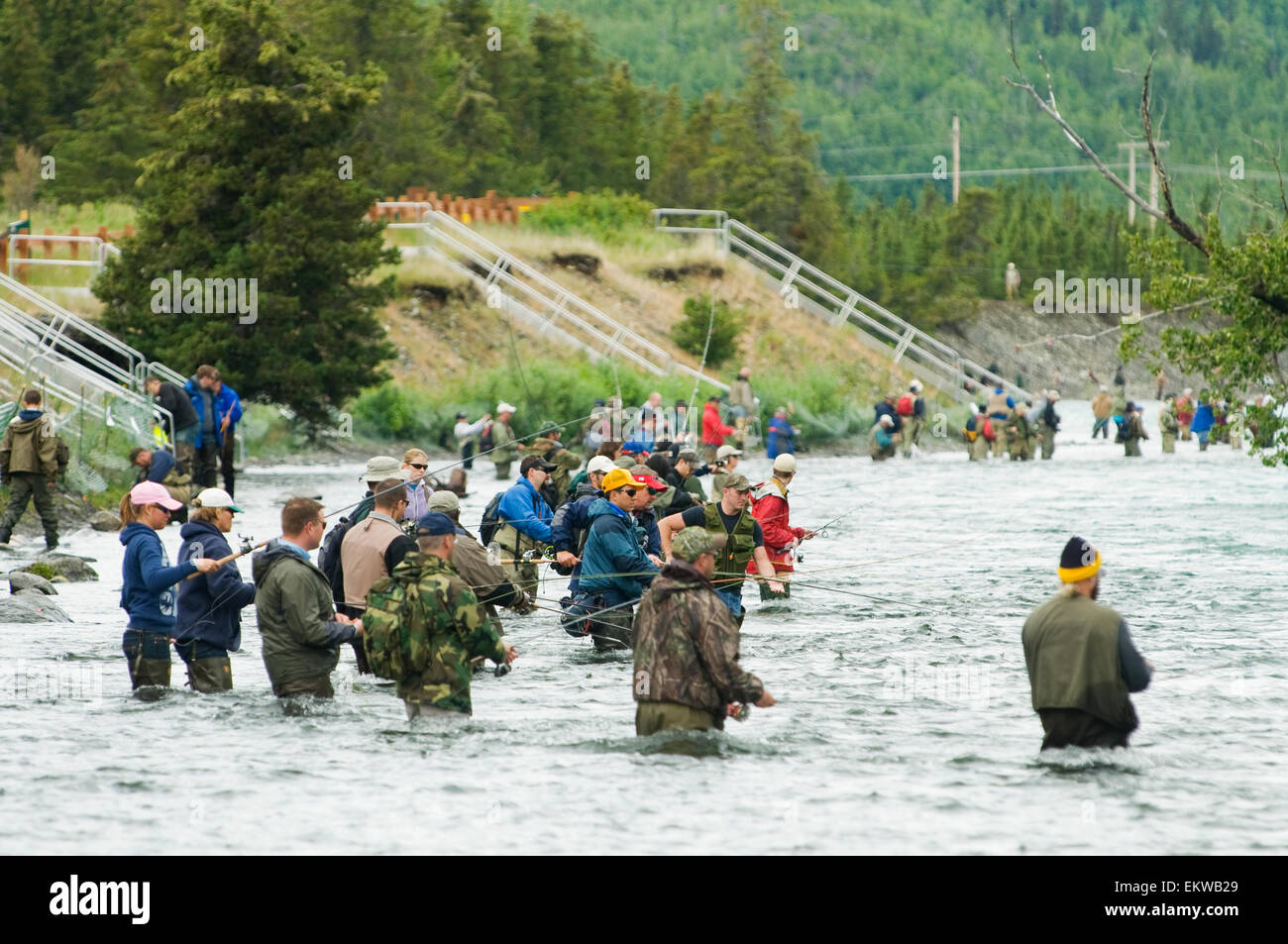 Combat Fishing On The Russian/Kenai River During The Sockeye Salmon Run