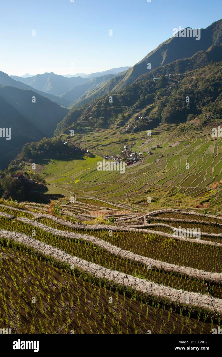 Aerial View Of Batad Rice Terraces; Batad, Luzon, Philippines Stock Photo