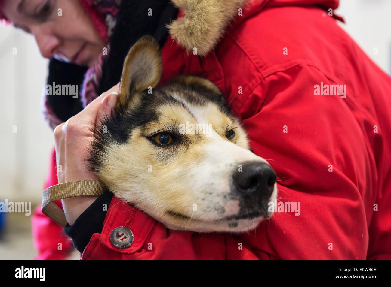 Unalakleet airport hires stock photography and images Alamy