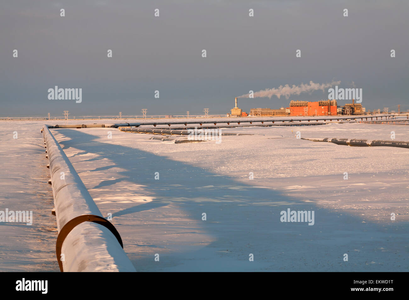 Snow Covered Pipelines And The Central Gas Facility (Cgf), Prudhoe Bay Oil Field, Arctic Alaska, Winter Stock Photo