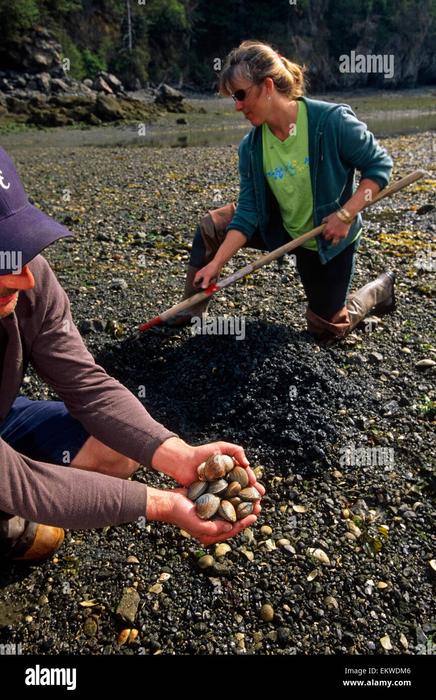 Couple Digging For Steamer Clams At China Poot Bay Kenai Peninsula