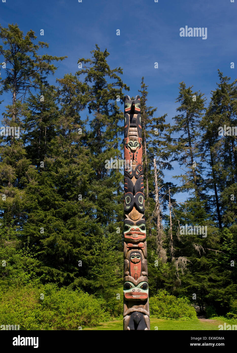 Single Totem Pole At The End Of The Totem Trail In The Sitka National ...