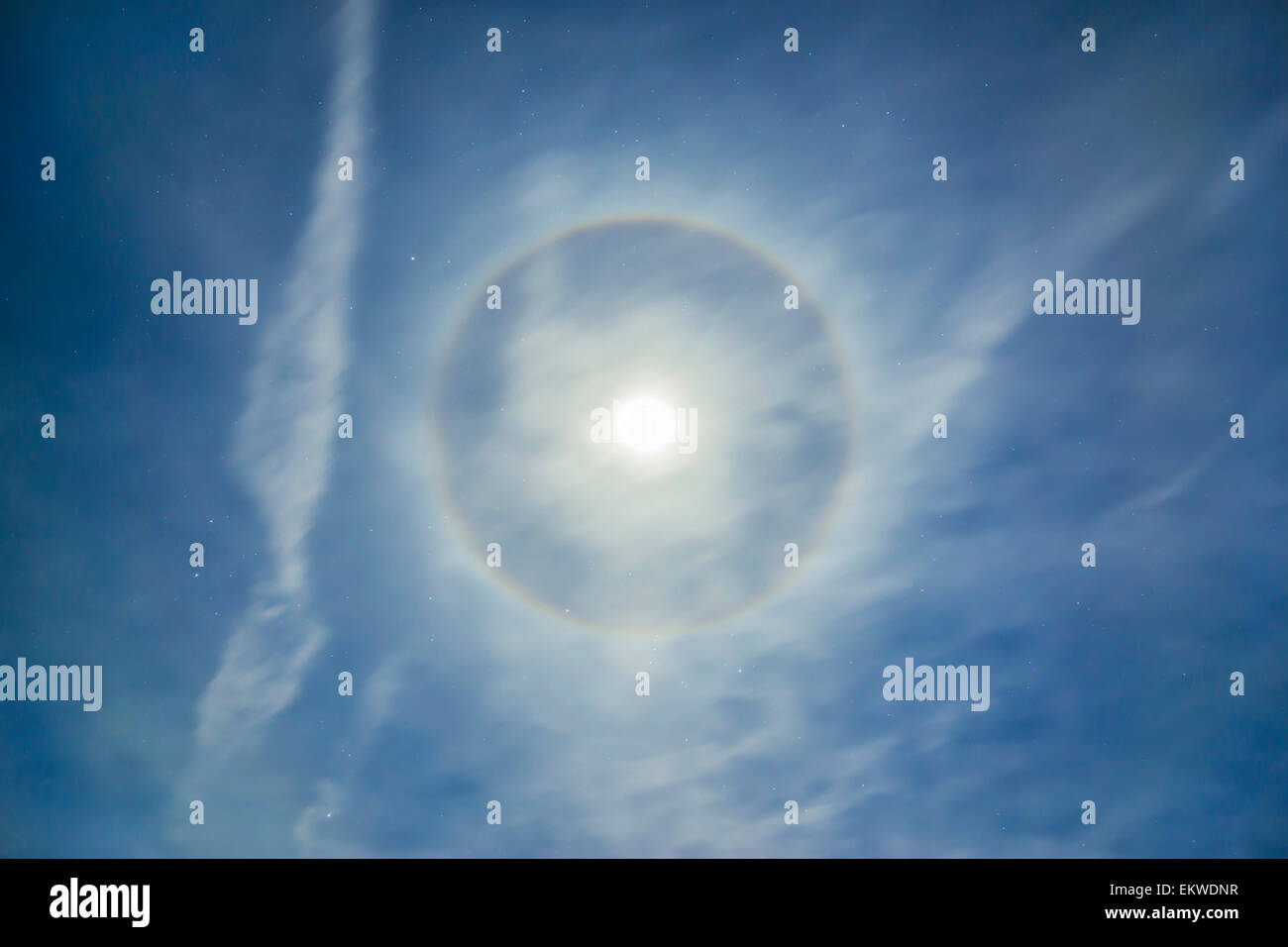A 22 degree halo around the full moon in a sky of high cirrus clouds and contrails. The moon sits above Orion in the winter sky. Stock Photo