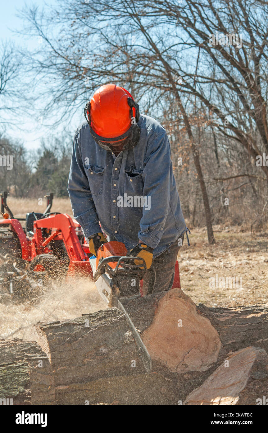 Man using chainsaw on log Stock Photo
