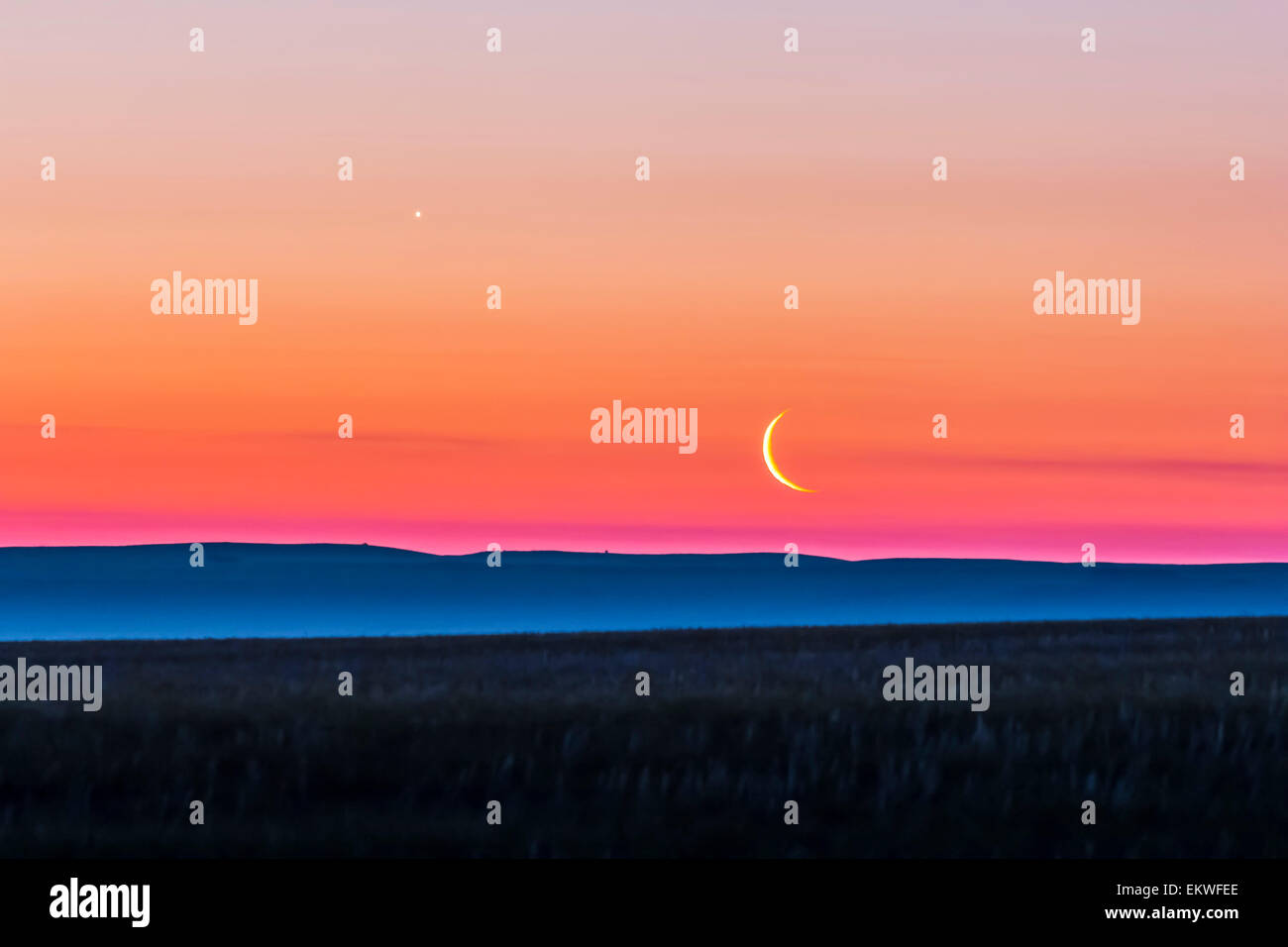 June 24, 2014 - The waning crescent moon below Venus, rising in the east, as seen from over the flat prairie horizon of southern Stock Photo