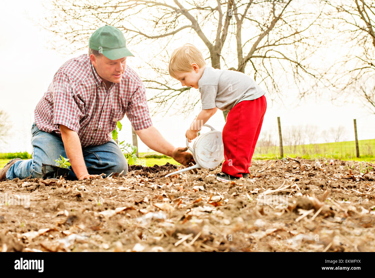 Dad teaching son to garden Stock Photo