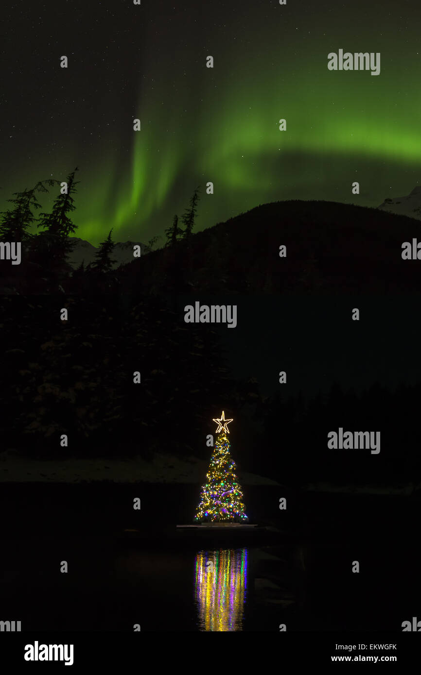 Christmas tree with lights with green aurora borealis overhead, Amalga
