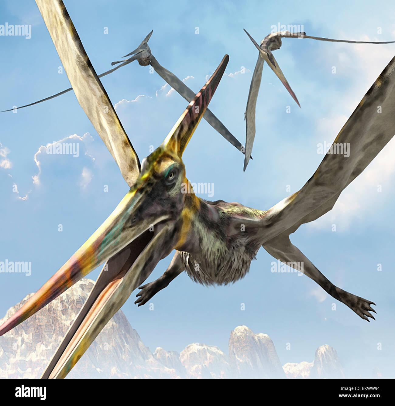 Pterodactyl stock photo. Image of brutal, archeopteryx - 45412668