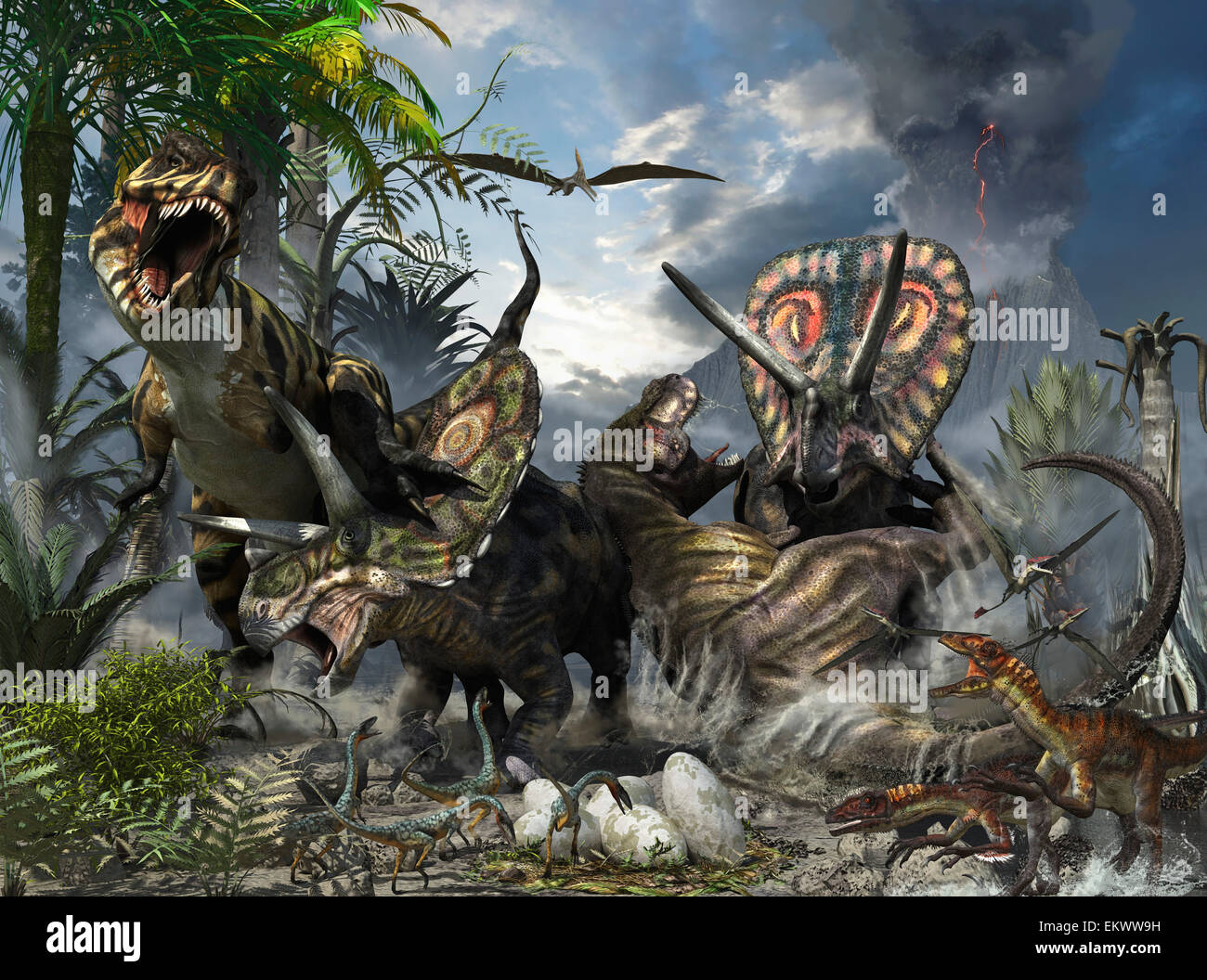A pair of Tyrannosaurus rex fighting with a family of Torosaurus who are protecting their eggs. Stock Photo