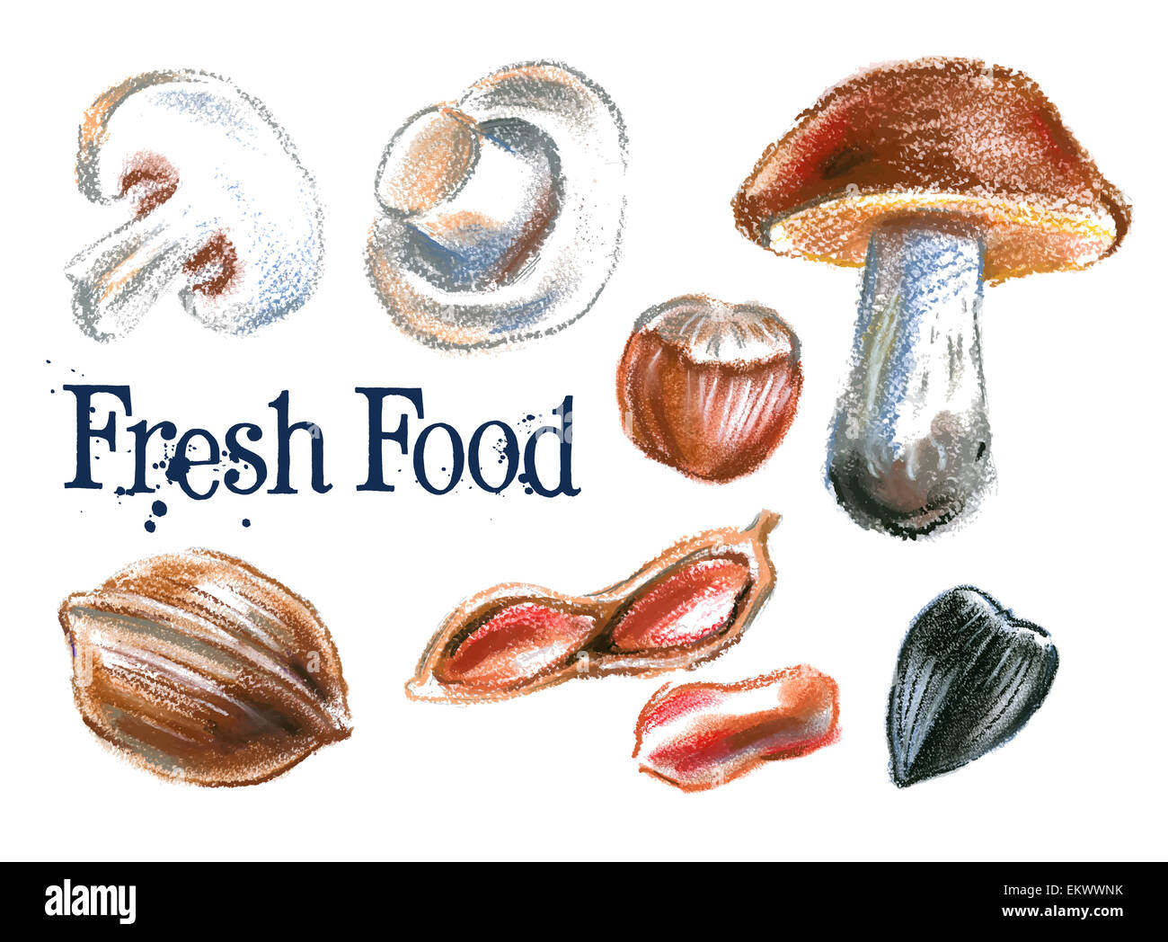 fresh food vector logo design template. mushrooms, nuts or sunflower seeds icon. Stock Photo