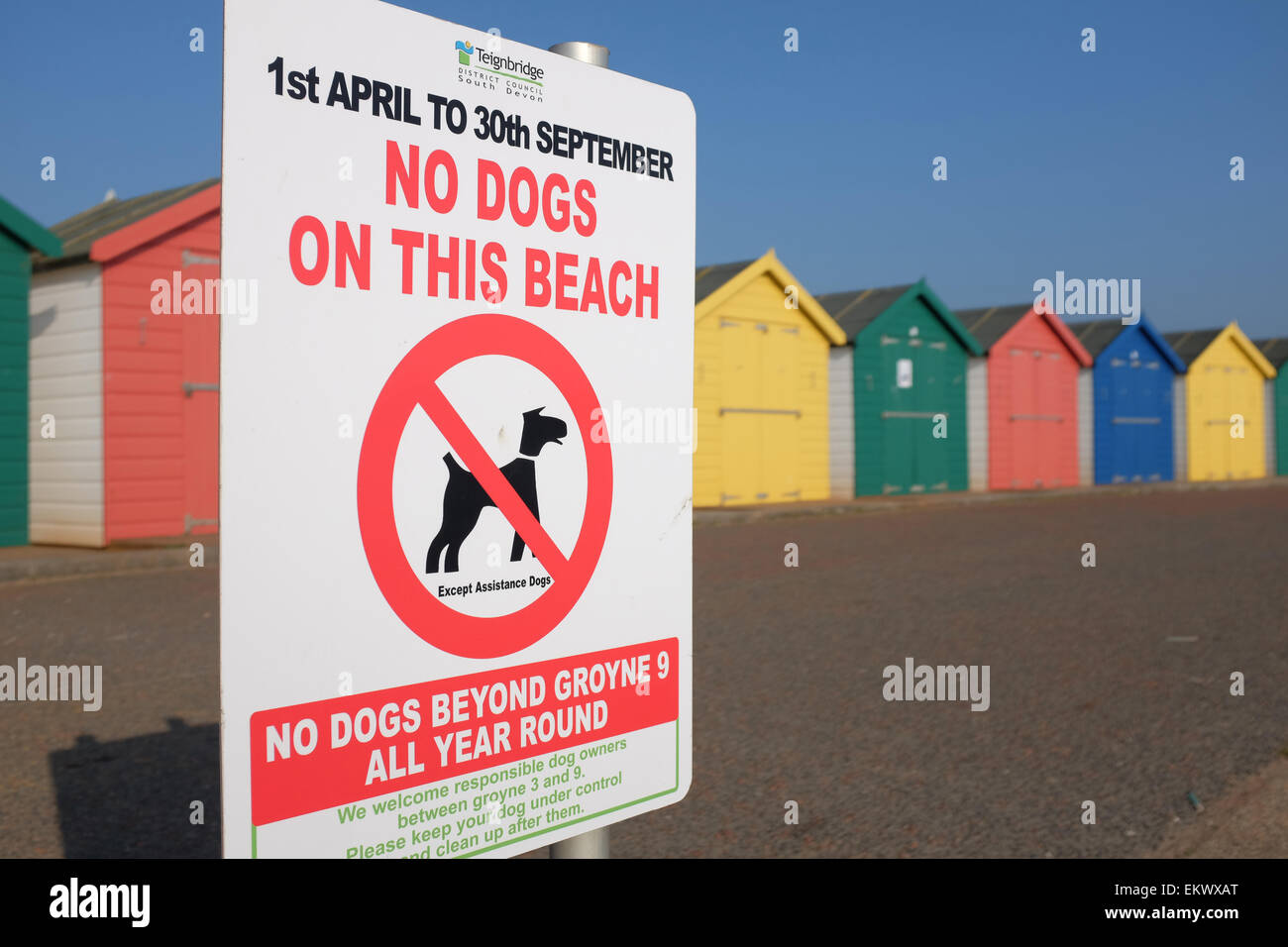 No Dogs Allowed on Beach sign against bright coloured beach huts at