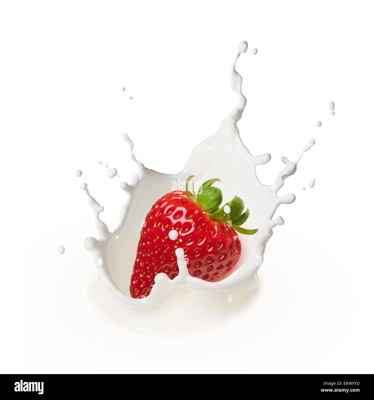 dropping a strawberry into milk causing splash Stock Photo