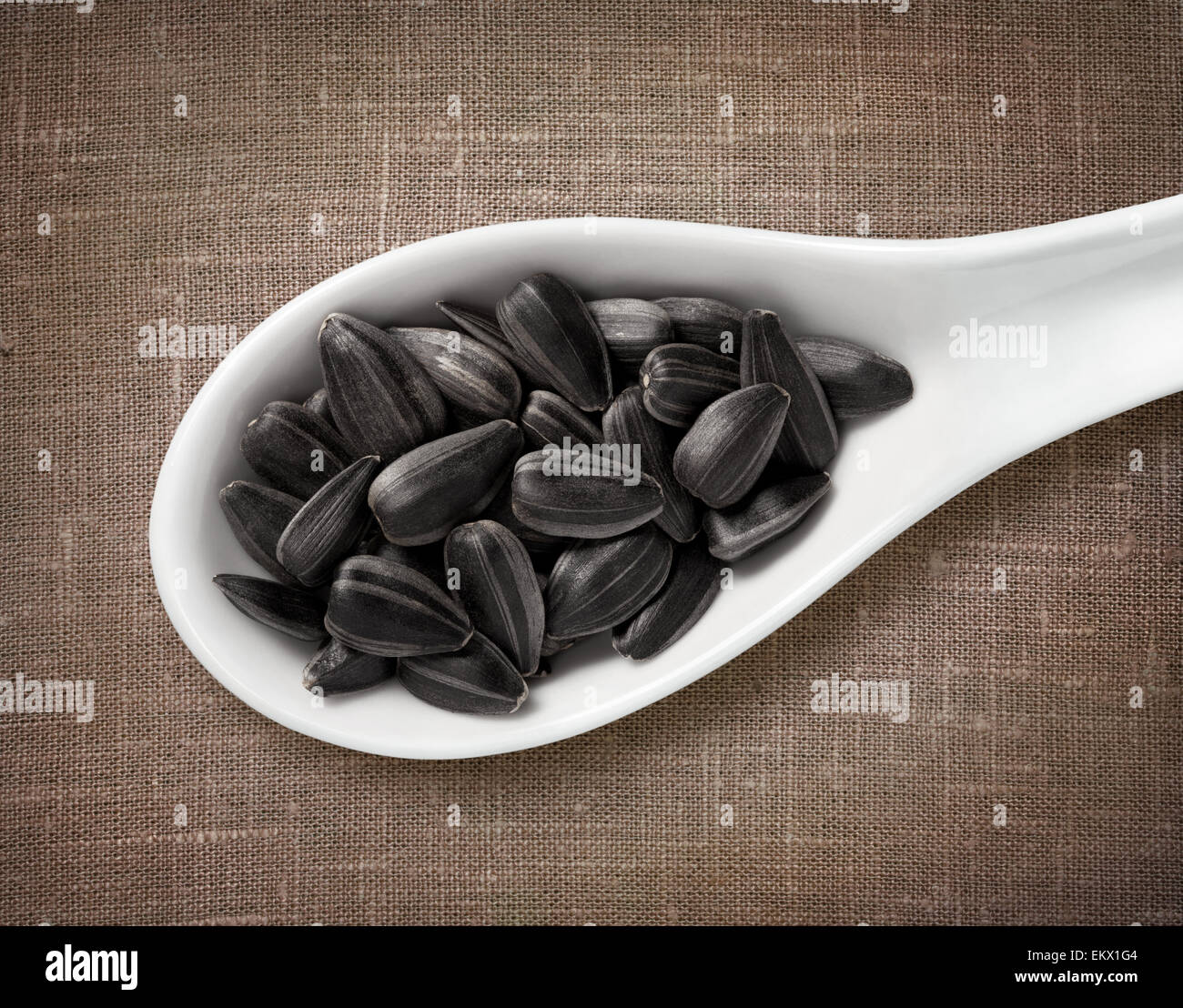 Black sunflower seeds in white porcelain spoon / high-res photo of grain in white porcelain spoon on burlap sackcloth background Stock Photo