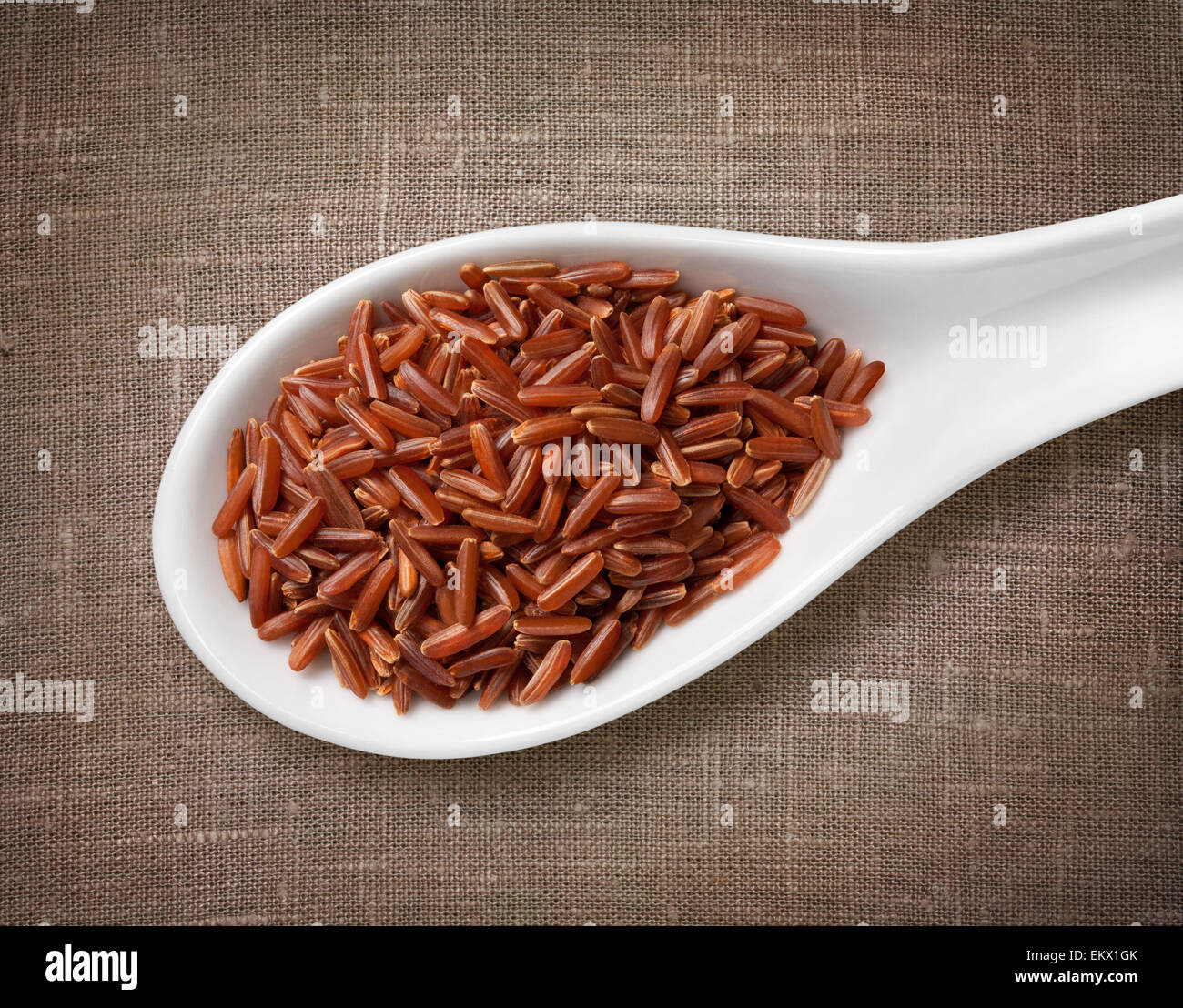 Red rice in white porcelain spoon / high-res photo of grain in white porcelain spoon on burlap sackcloth background Stock Photo
