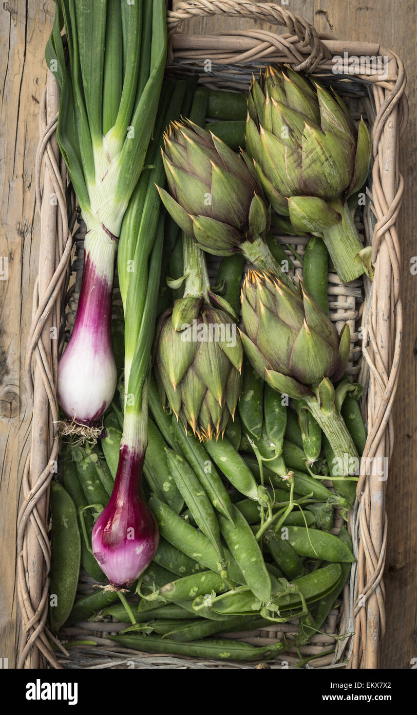 Fresh vegetables in a basket (artichokes,peas and red onions from Tropea) Stock Photo