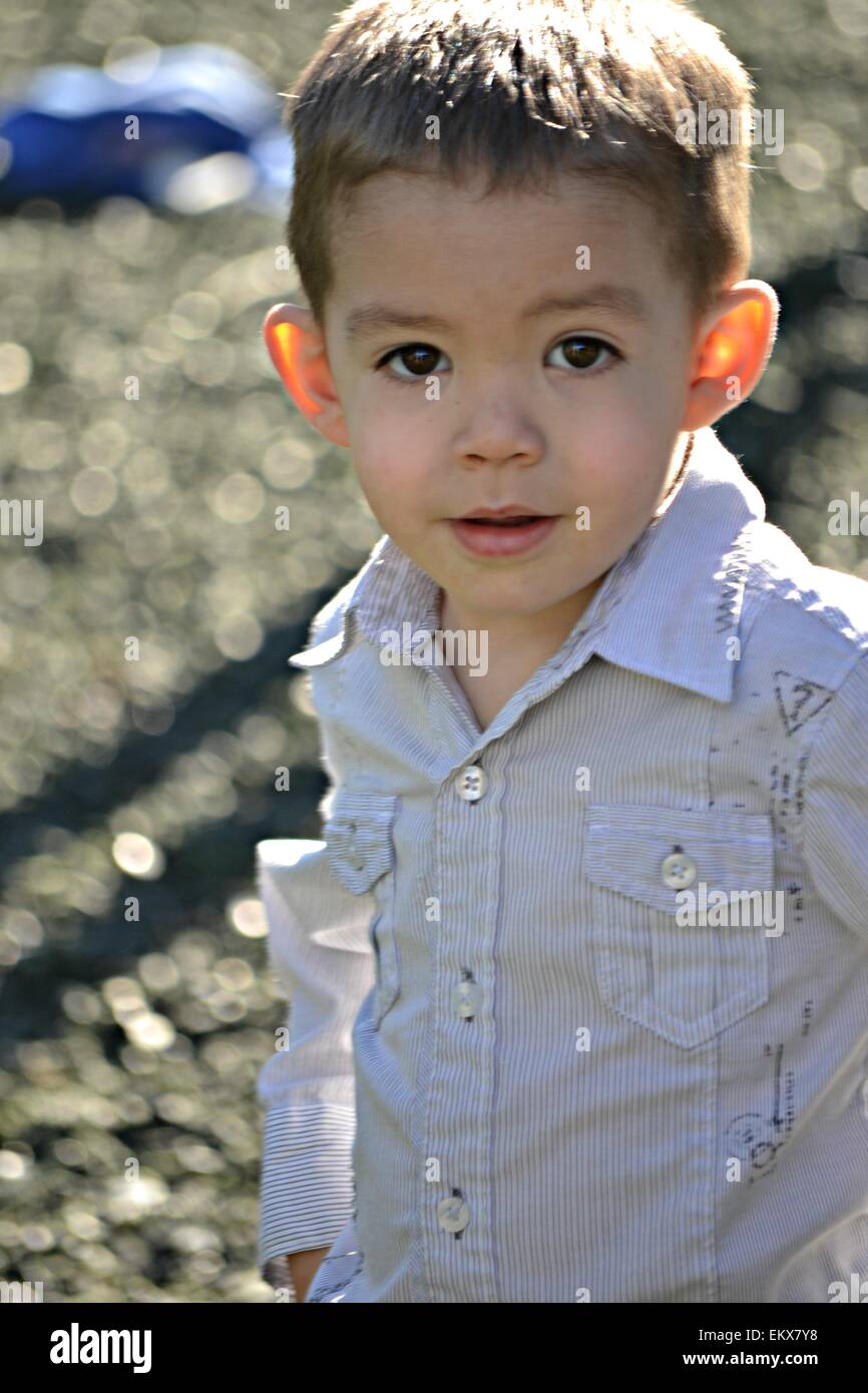 A handsome big brown eyed 3 year old boy. Stock Photo
