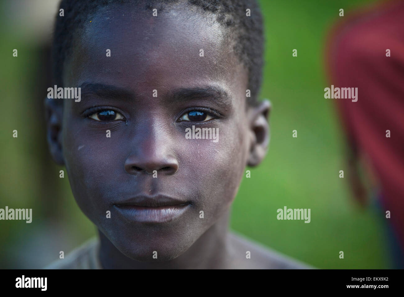 Portrait Of A Teenage Boy; Kampala Uganda Africa Stock Photo