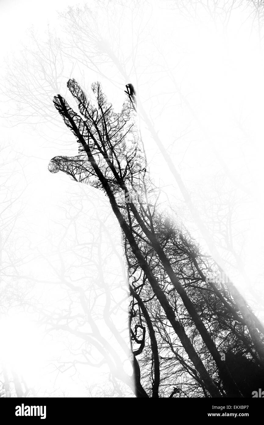 Double exposure of arm and hand with a woodland background from the forest Stock Photo