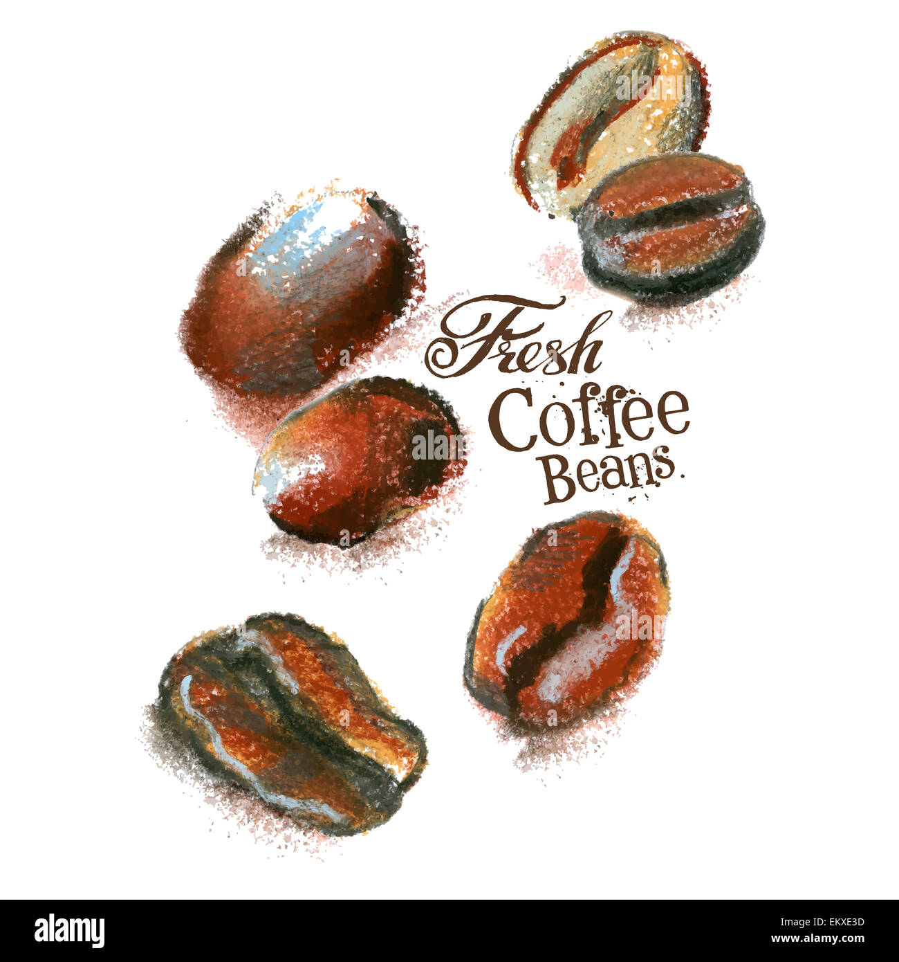 fresh coffee vector logo design template. beans or espresso icon. Stock Photo
