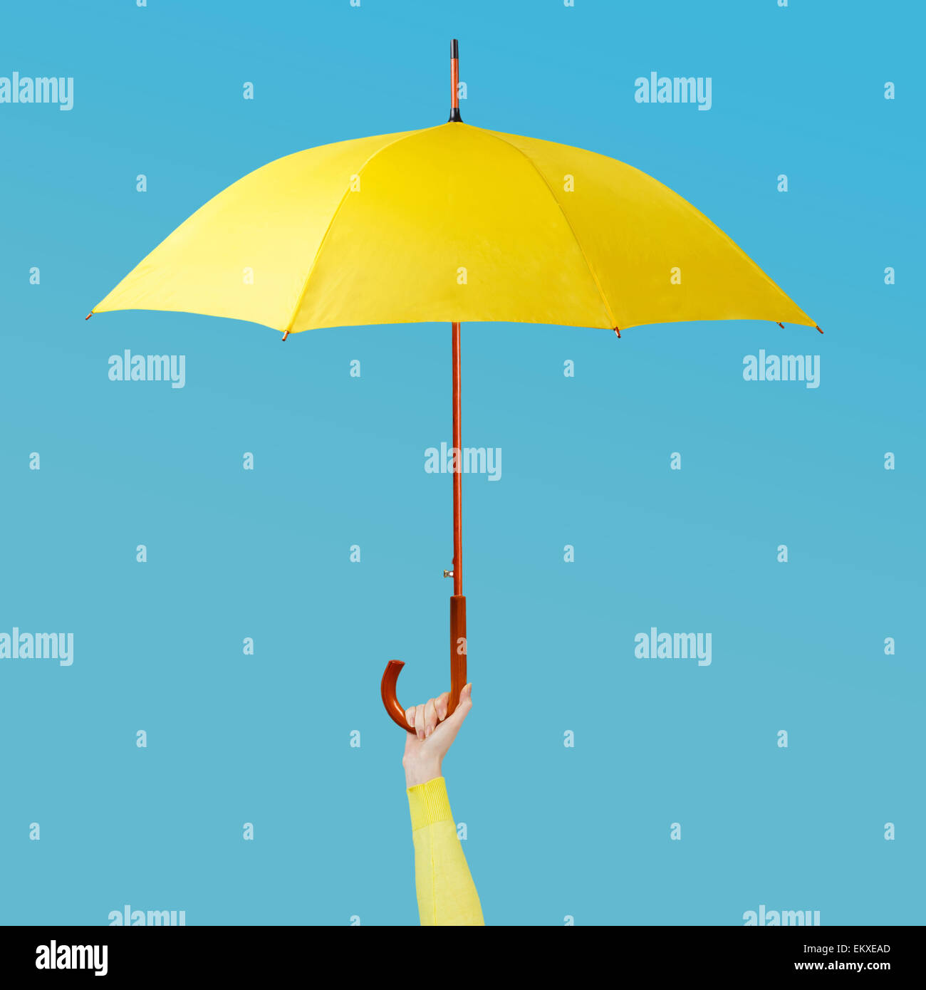 Hand holding an umbrella Stock Photo