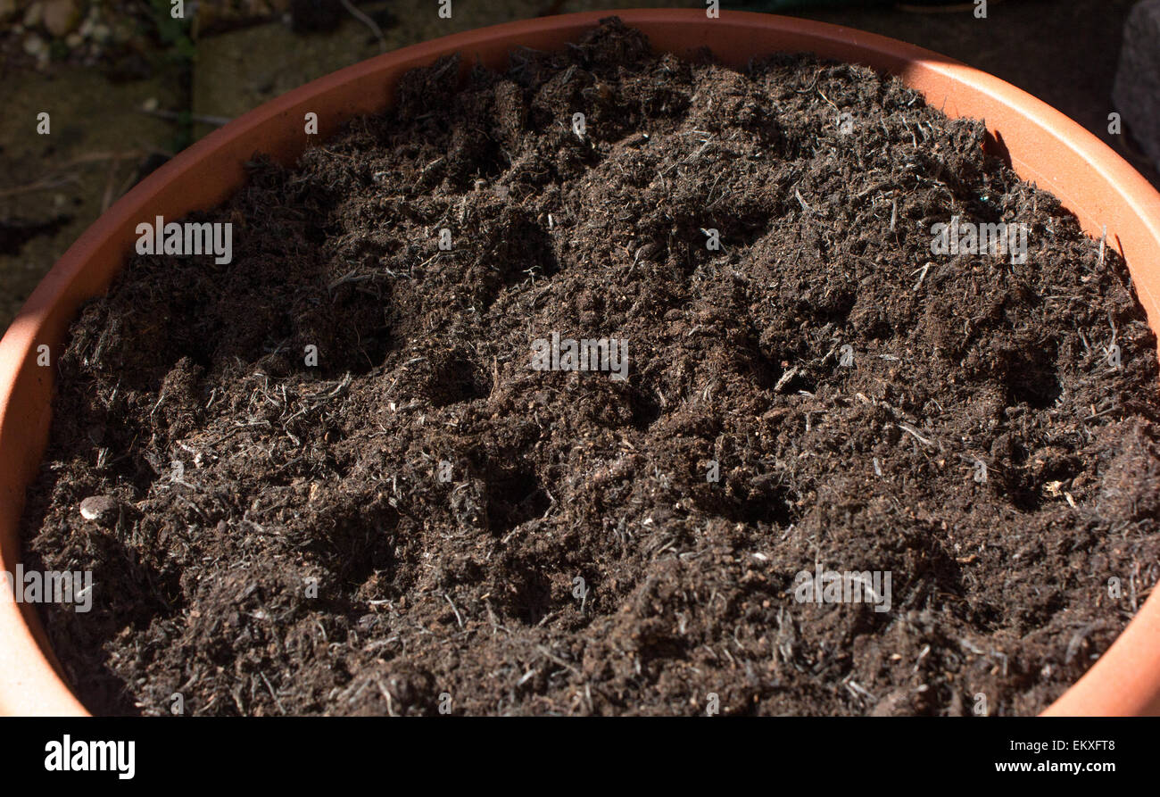Holes in the soil in a plant pot in spring ready to plant seeds or