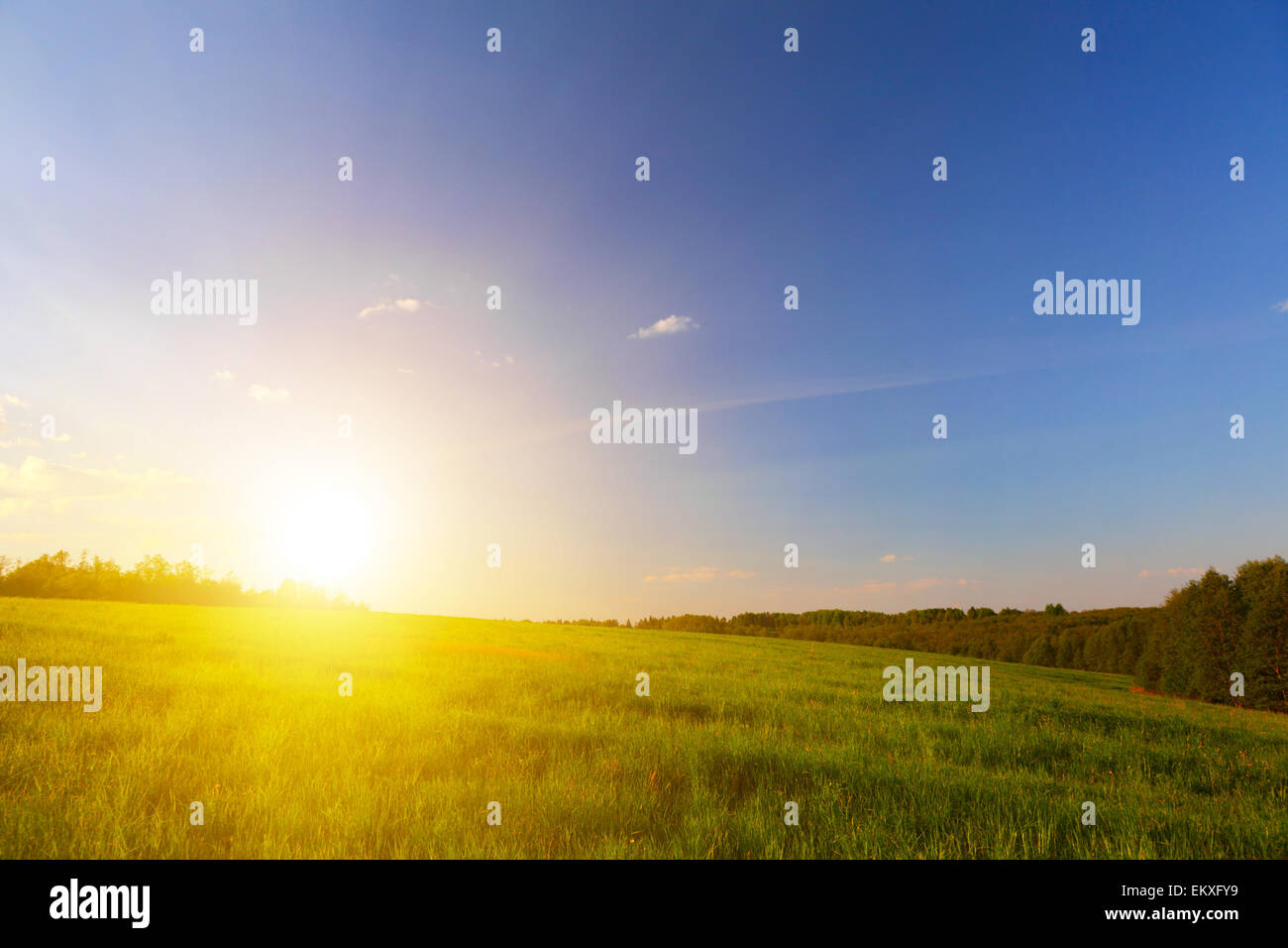 green field and beautiful sunset Stock Photo - Alamy